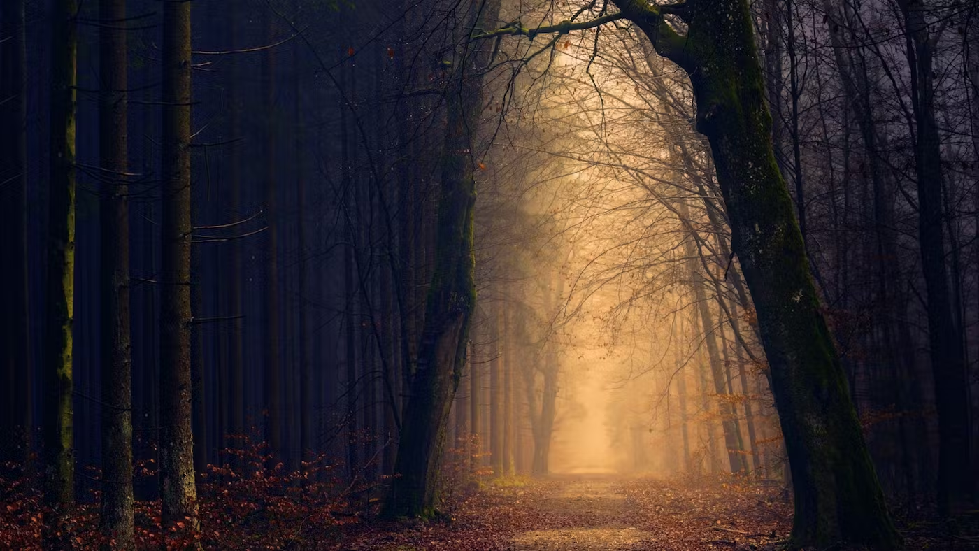 10 efeitos de crer nos 5 pontos do calvinismo