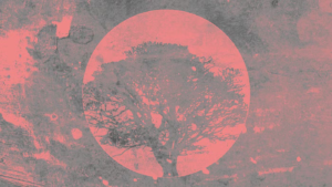 ele foi abandonado pelo pai