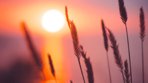 Um Ano Novo Digno de Deus 