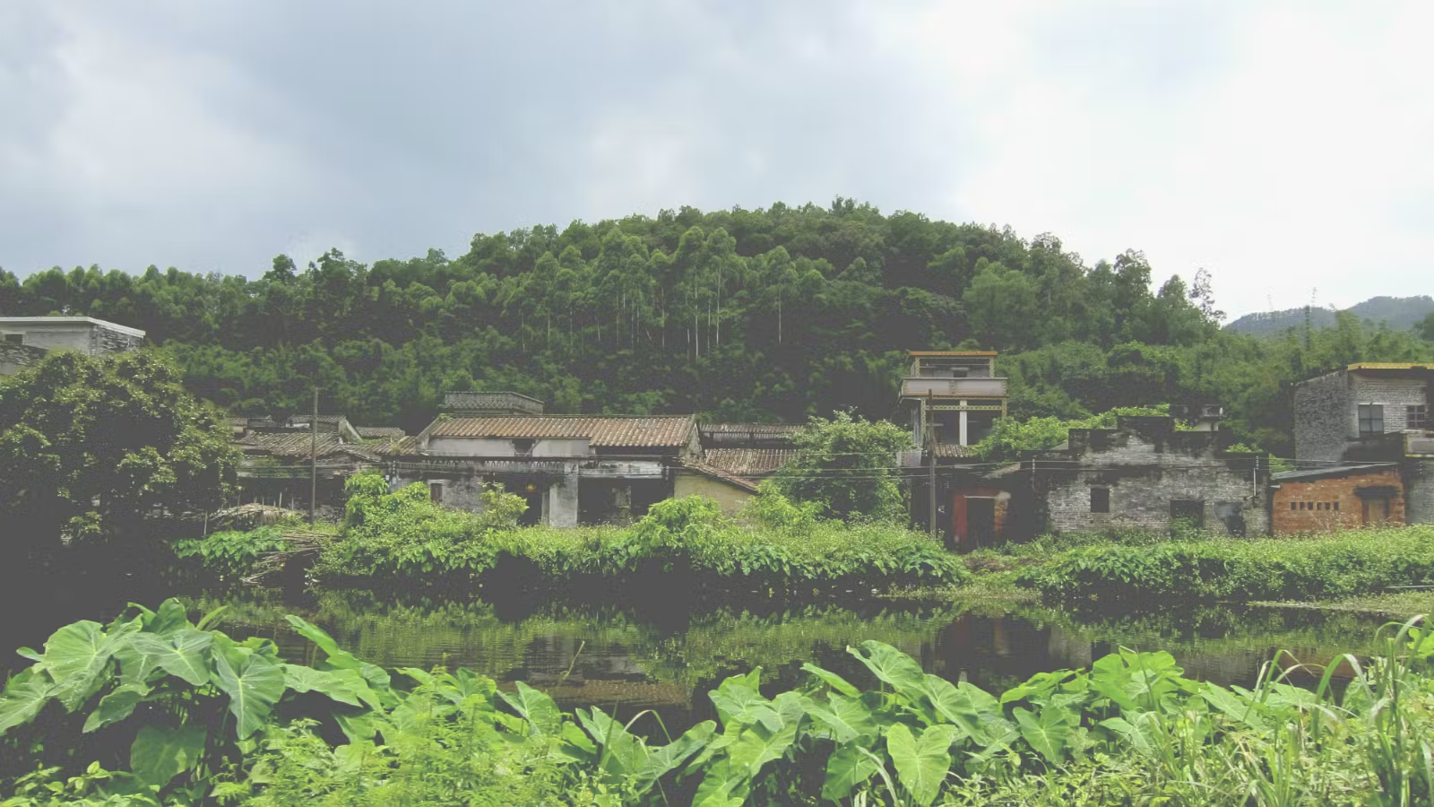 Por que Adão é importante para as missões globais?