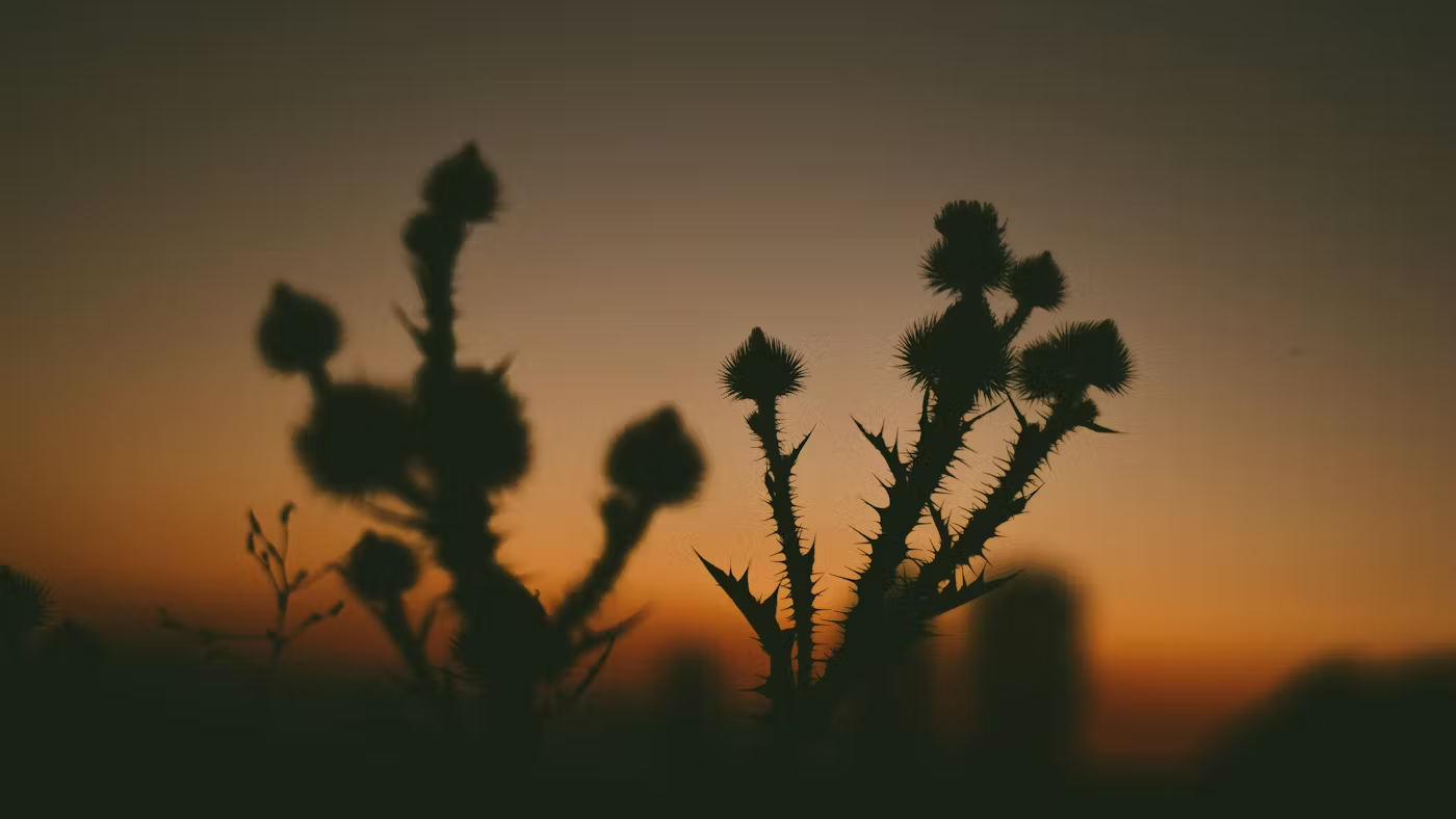 O pecado não vai confortar você