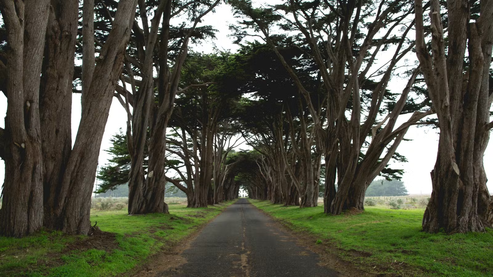 O que é Expiação Definida? Por que isso importa?